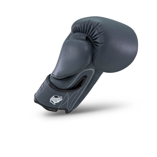 Booster Boxhandschuhe PRO BGL VX2 - Marineblau