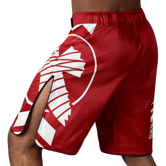 Hayabusa MMA-Shorts Icon Lang - Rot/Weiss