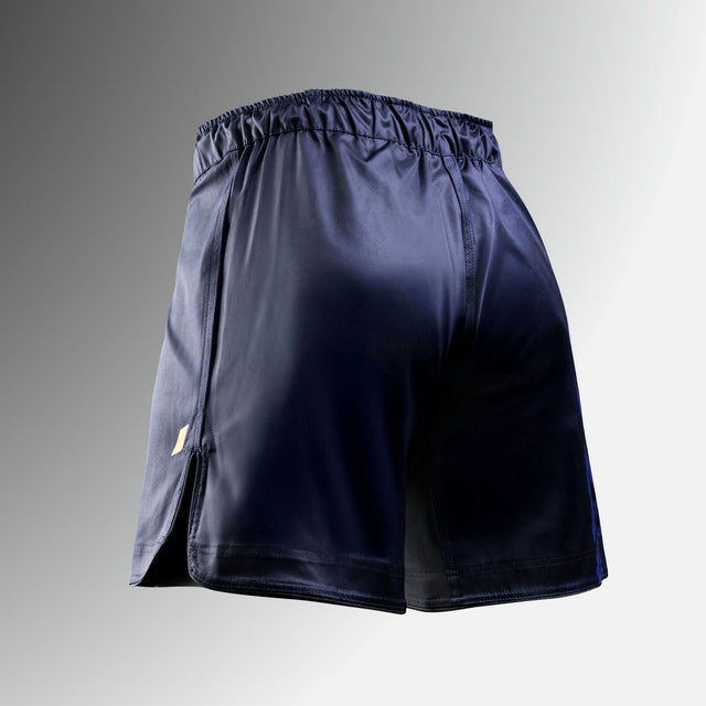 Hayabusa MMA Shorts Apex Vantage - Blau