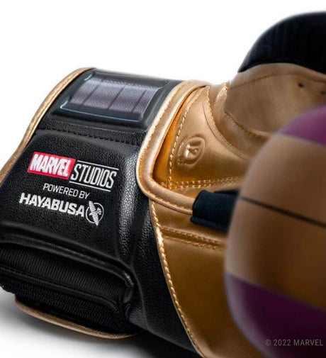 Hayabusa (Kick)Bokshandschoenen Batroc - Paars/Goud/Zwart - The Fight Company Deutschland