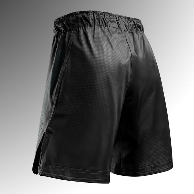 Hayabusa MMA-Shorts Core Lang - Schwarz
