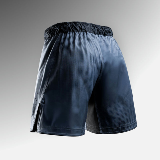 Hayabusa MMA Shorts Apex Core - Blau