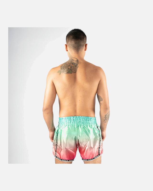 8 WEAPONS Muay-Thai-Shorts Vivo Mesosphere - Mesosphere